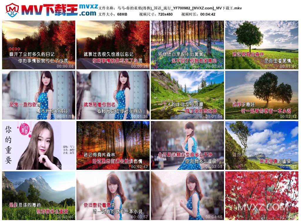 马马-你的重要(替换)_国语_流行_YF700982